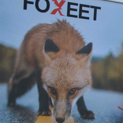 Foxeet pour vos projets informatiques